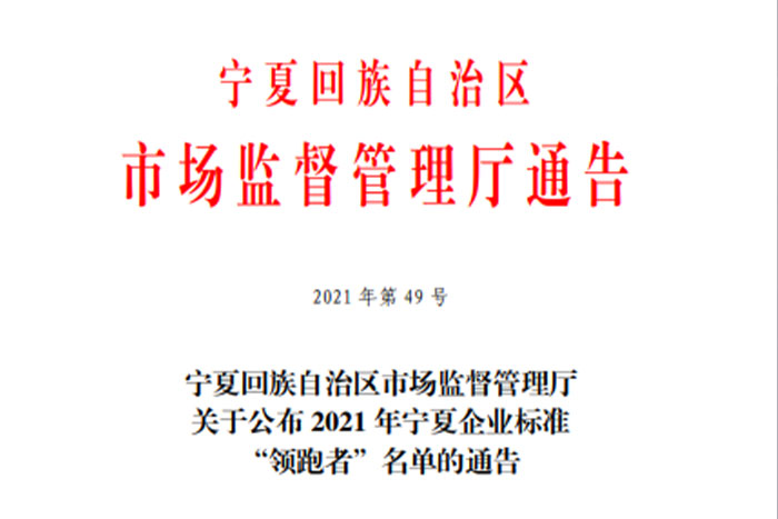 【榮譽】巨能《GS系列桁架機器人》企業(yè)標(biāo)準(zhǔn)入選2021年寧夏企業(yè)標(biāo)準(zhǔn)“領(lǐng)跑者”名單